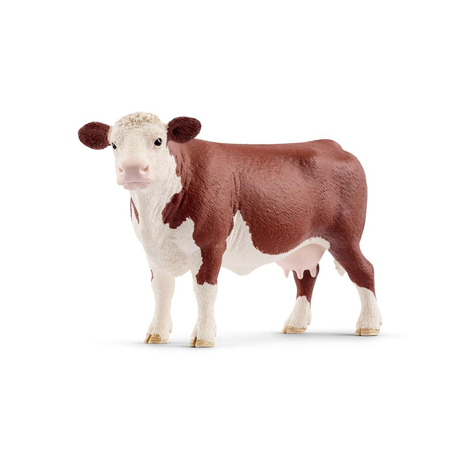 Αγελάδα Hereford