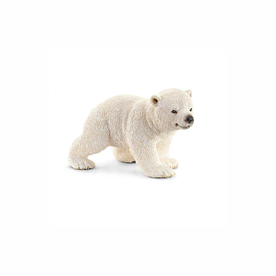 Πολική Αρκούδα Μωρό