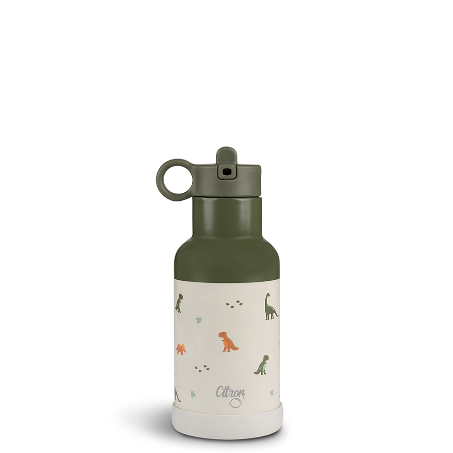 Water Bottle 350 ml - Dino