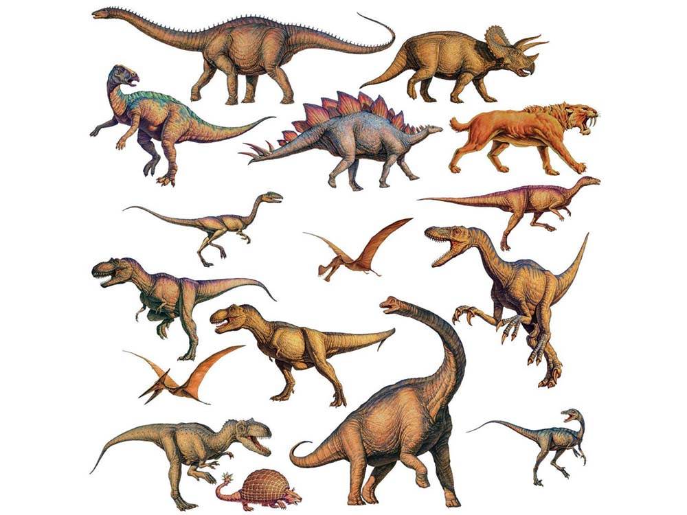 Αυτοκόλλητο τοίχου Δεινόσαυροι