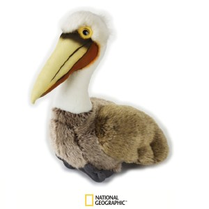 770804-NATIONAL-GEOGRAPHIC-PELICAN