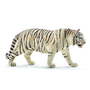 Αρσενικός-Τίγρης-Λευκός-SC14731