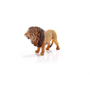 Λιοντάρι-Βρυχώμενο-SC14726-2